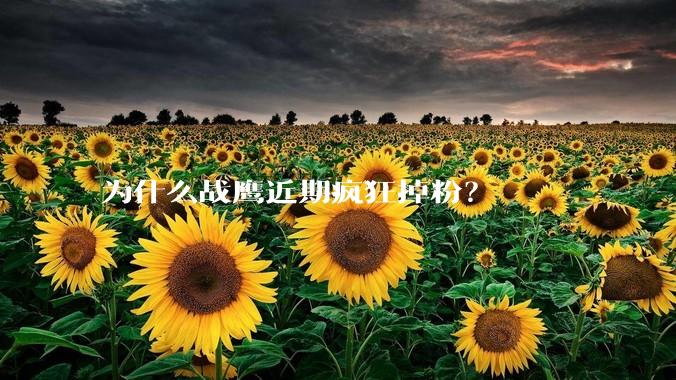 为什么战鹰近期疯狂掉粉？